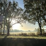 CD06FA78-7BED-4930-9A91-3A527F91868E